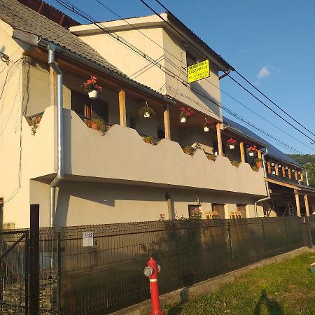 Pensiunea Casa Maria Vişeu de Sus Zewnętrze zdjęcie