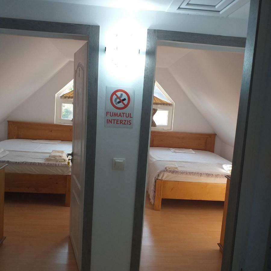 Pensiunea Casa Maria Vişeu de Sus Zewnętrze zdjęcie