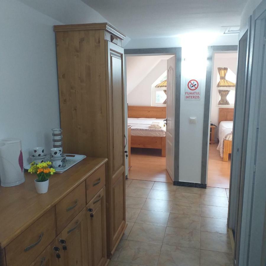 Pensiunea Casa Maria Vişeu de Sus Zewnętrze zdjęcie