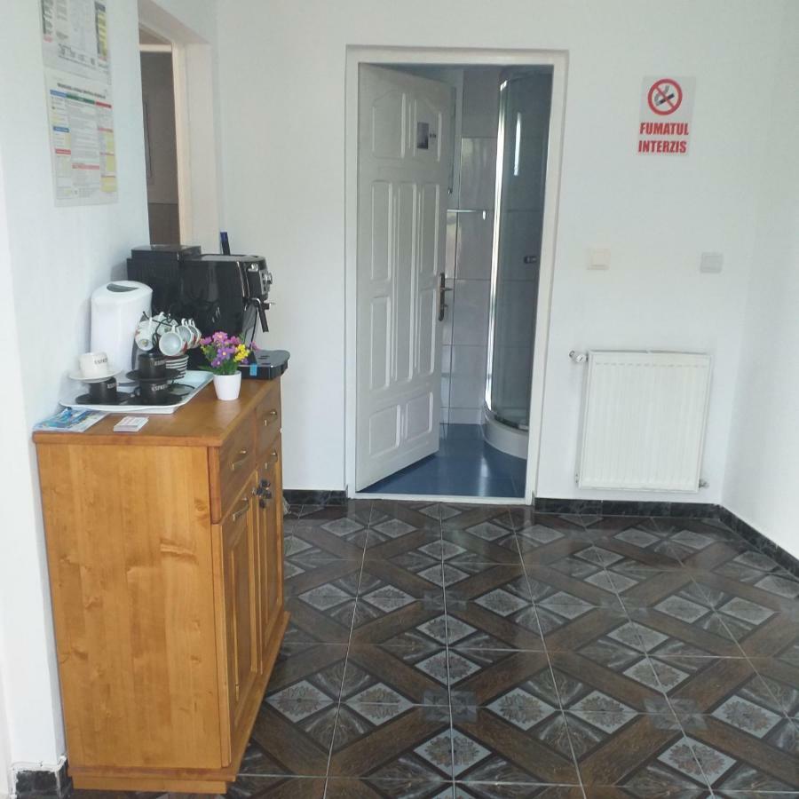Pensiunea Casa Maria Vişeu de Sus Zewnętrze zdjęcie