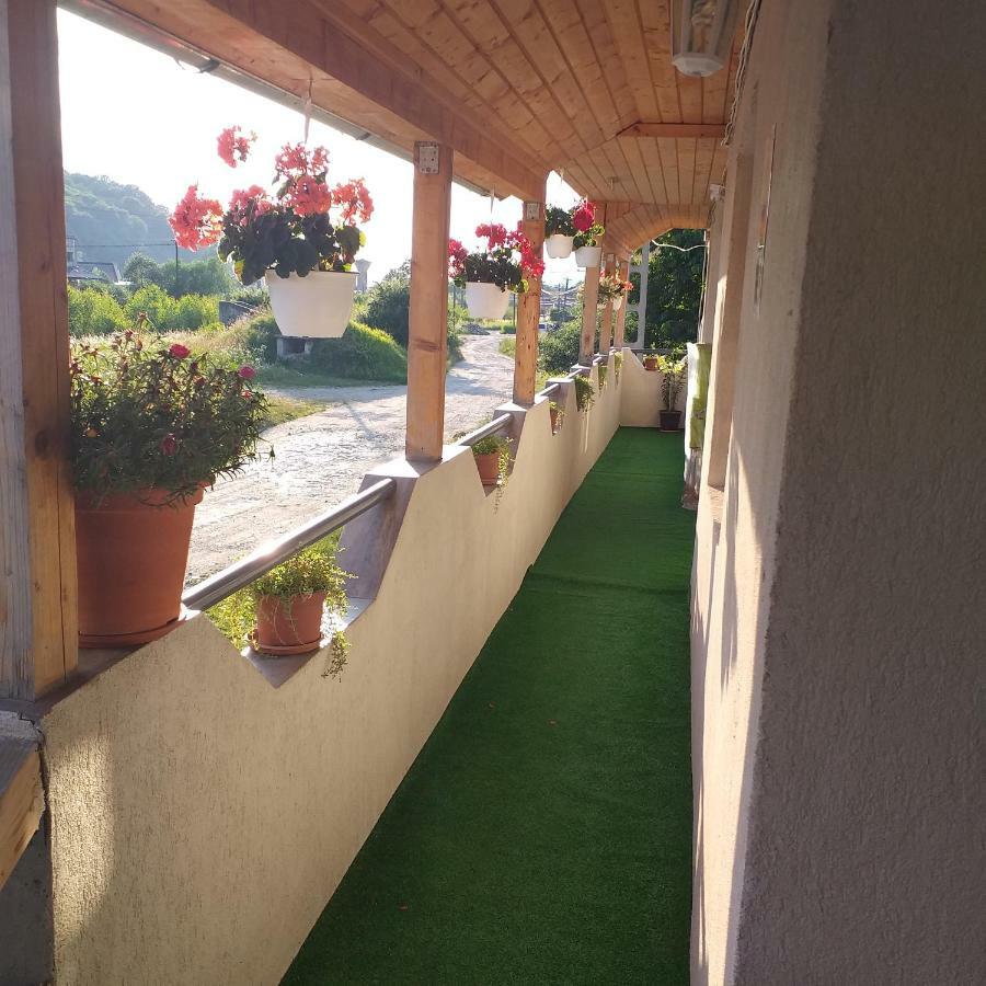 Pensiunea Casa Maria Vişeu de Sus Zewnętrze zdjęcie