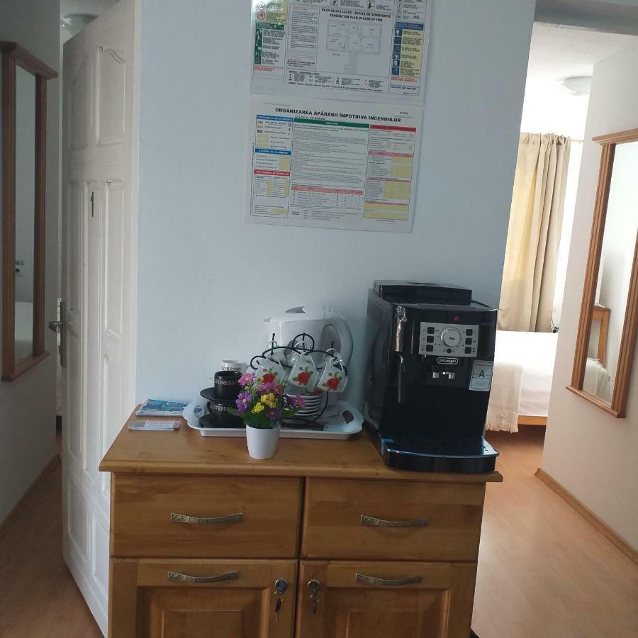 Pensiunea Casa Maria Vişeu de Sus Zewnętrze zdjęcie
