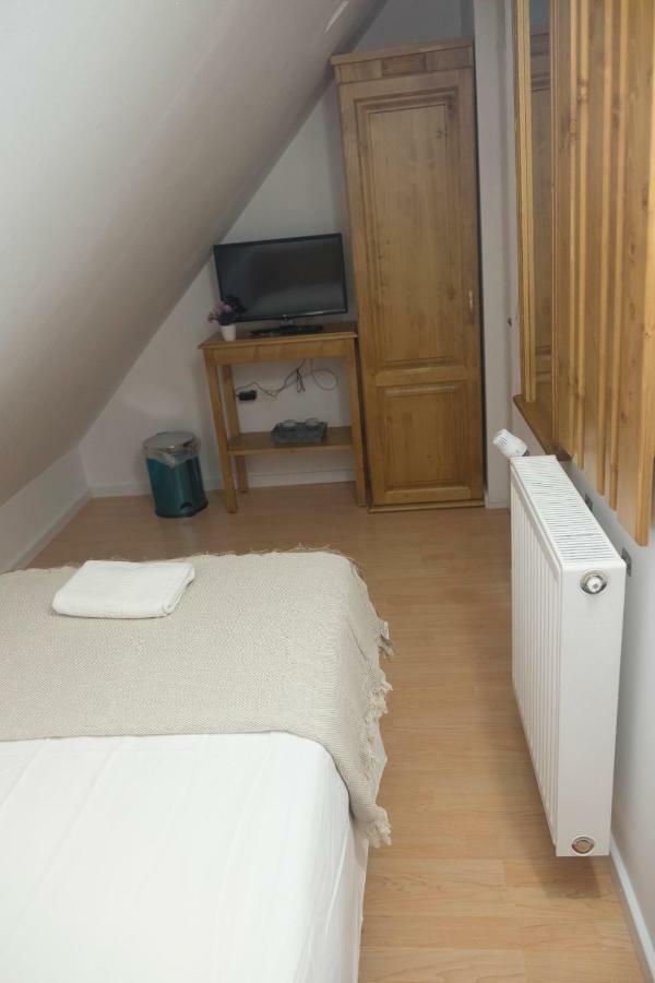 Pensiunea Casa Maria Vişeu de Sus Zewnętrze zdjęcie